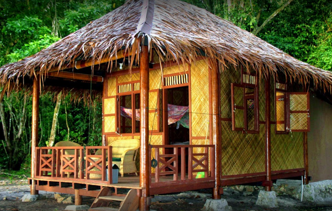 Rimba ecolodge recherche google